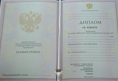 Диплом Новгородского техникума сервиса, экономики и права 2003-2006 годов