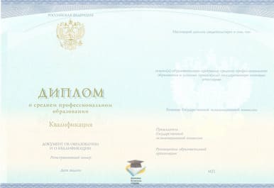 Диплом Новгородского техникума сервиса, экономики и права СпецБланк 2014-2020 годов